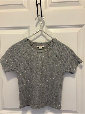 American Eagle Outfitters Gray Ribbed Short Sleeve Top with Blue Floral XS